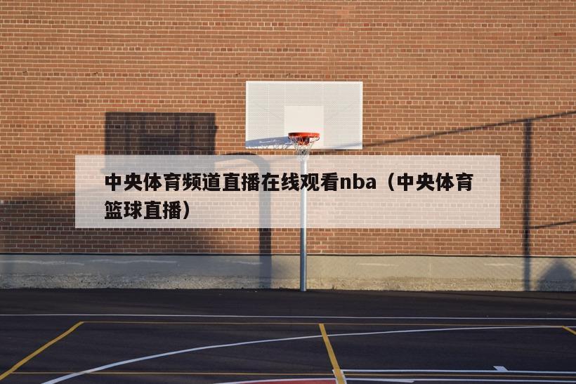 中央体育频道直播在线观看nba（中央体育篮球直播）