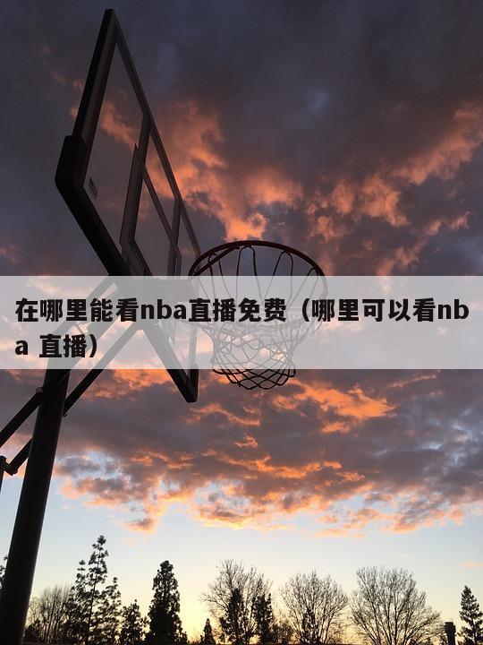 在哪里能看nba直播免费（哪里可以看nba 直播）